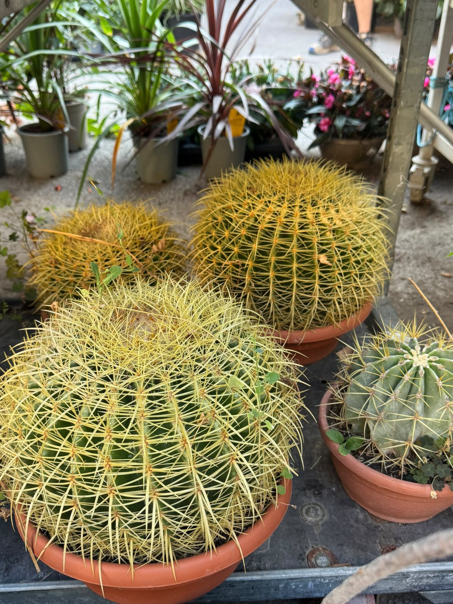 Nouvel arrivage (30/07)